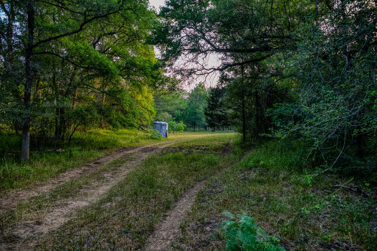 Revival Ranch TX