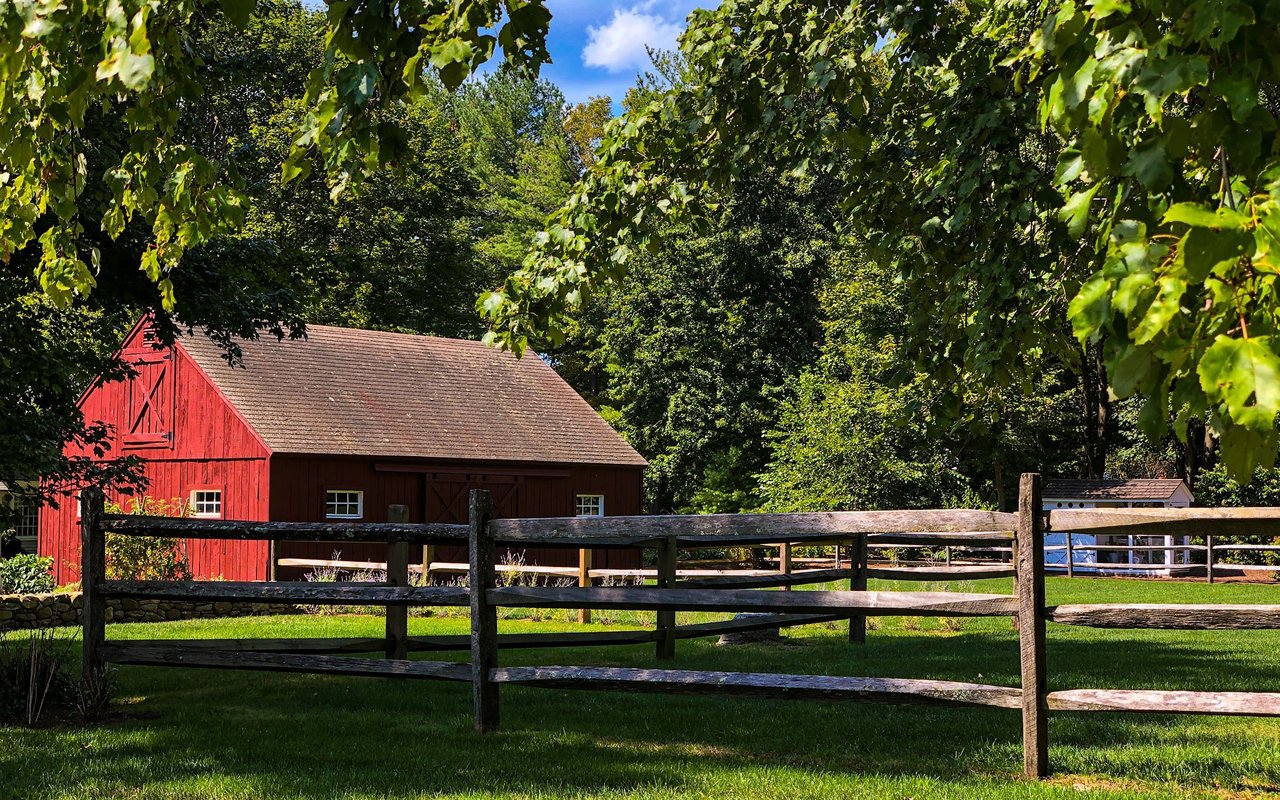 Fox Farm
