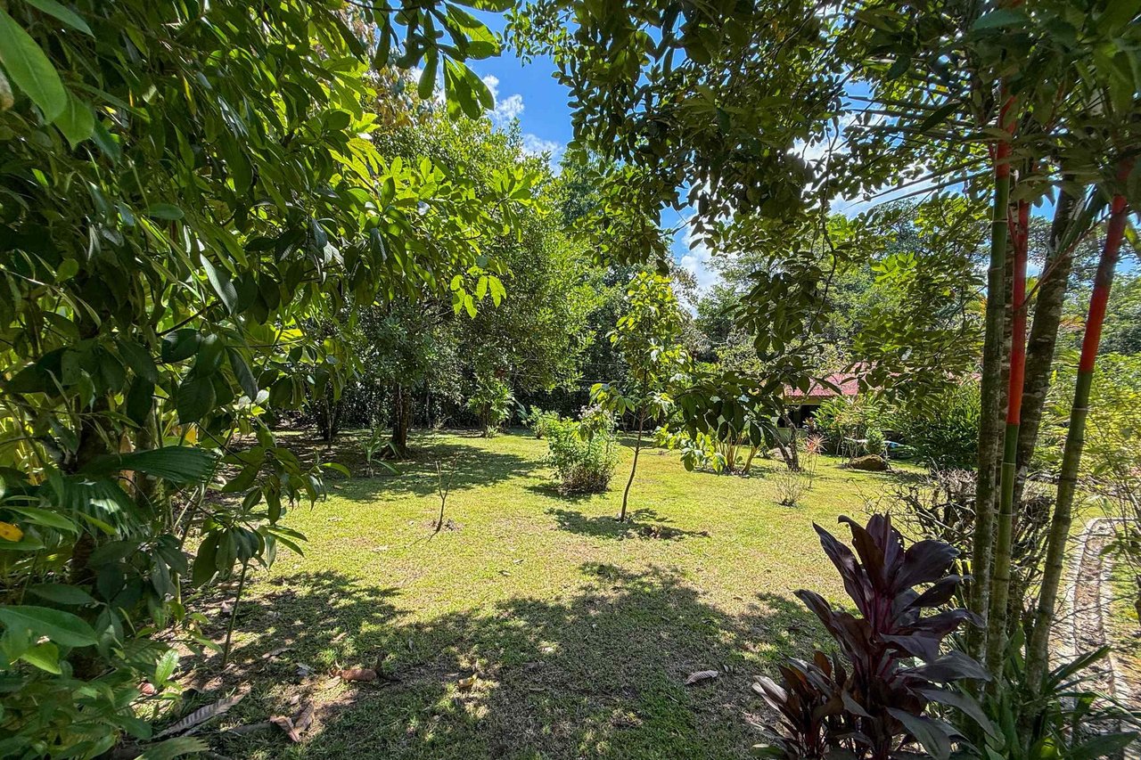  Gorgeous Jungle Hotel with 11 Beds including Owner/Manager Unit, Sparkling Pool & River Setting in Ojochal Costa Rica