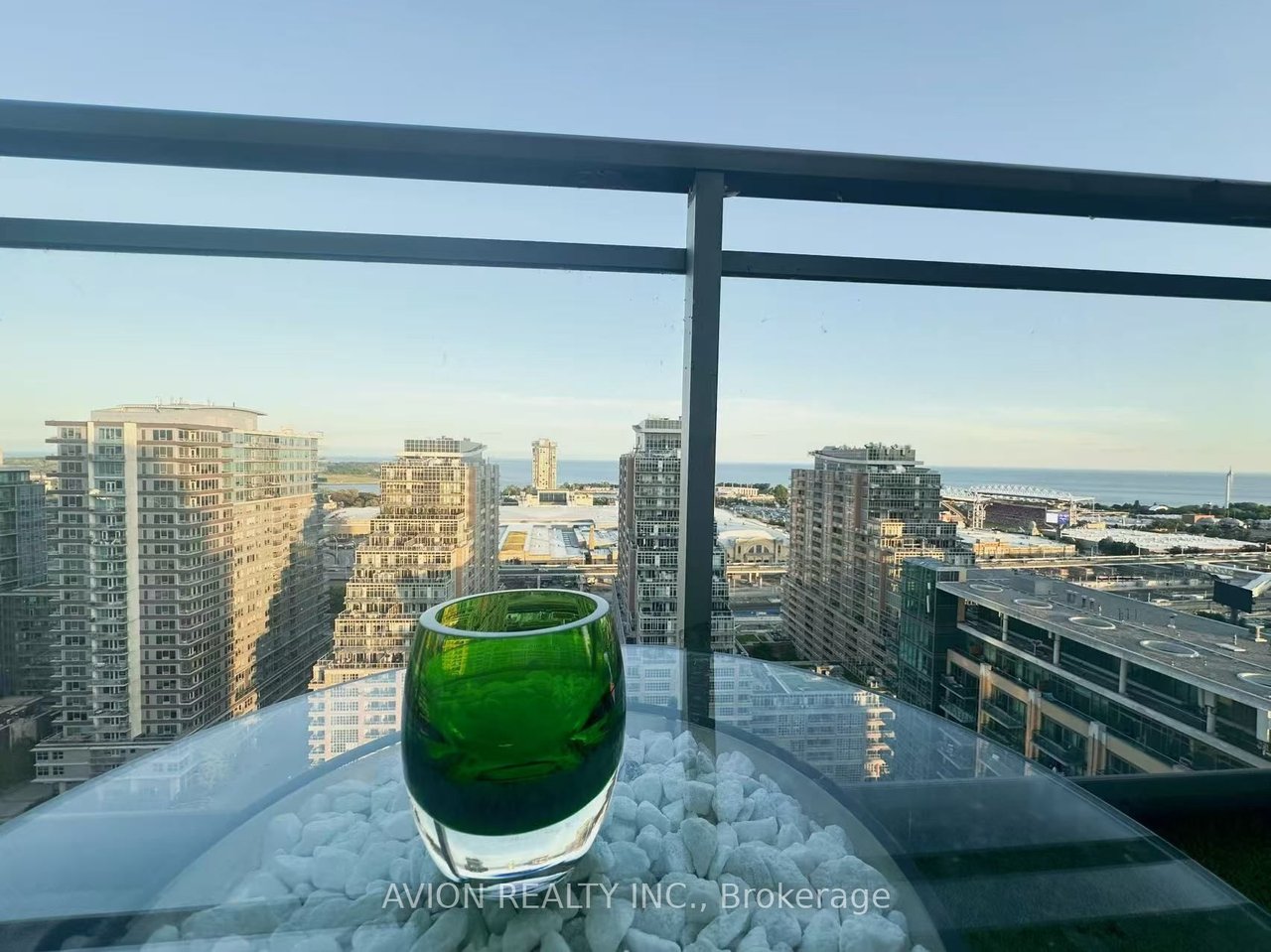 LIBERTY VILLAGE GOALS