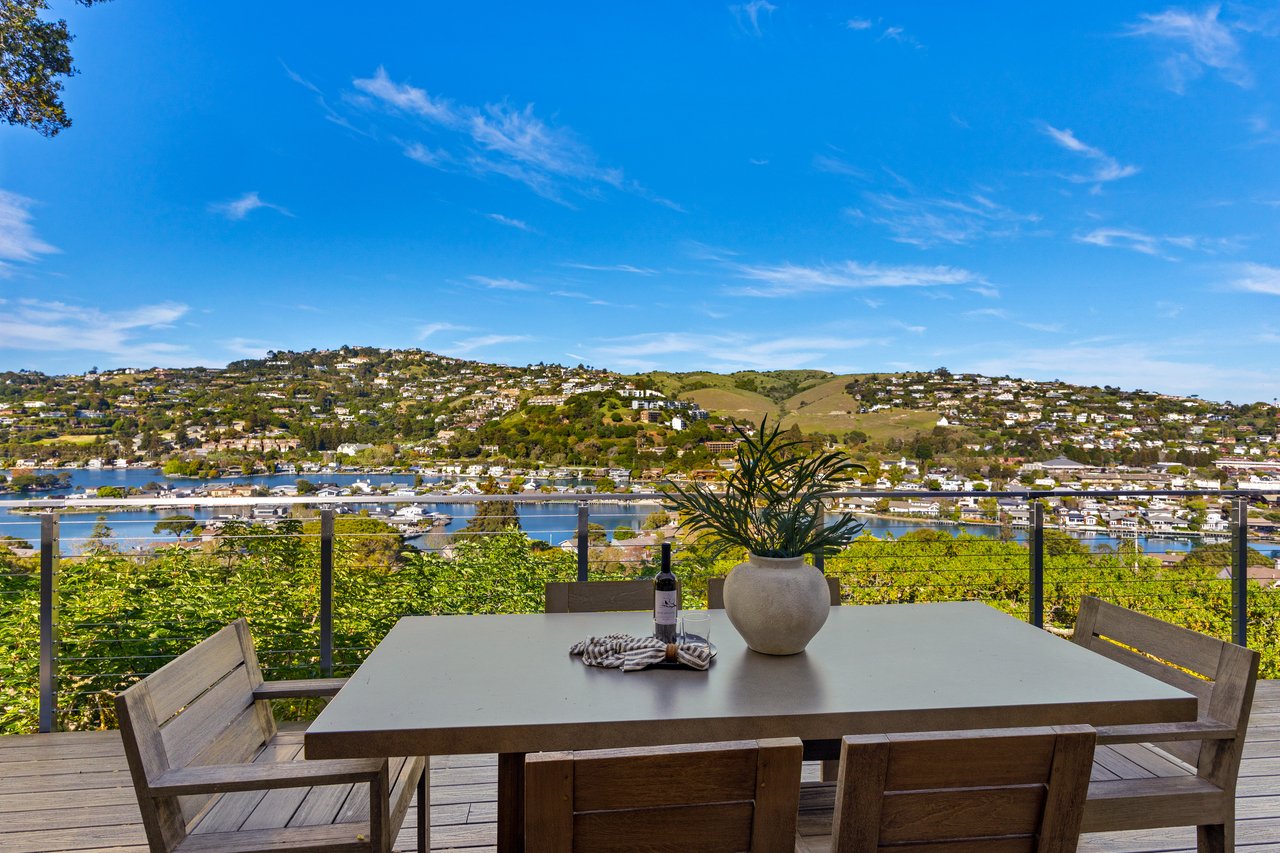 Contemporary Gem on Belvedere Island