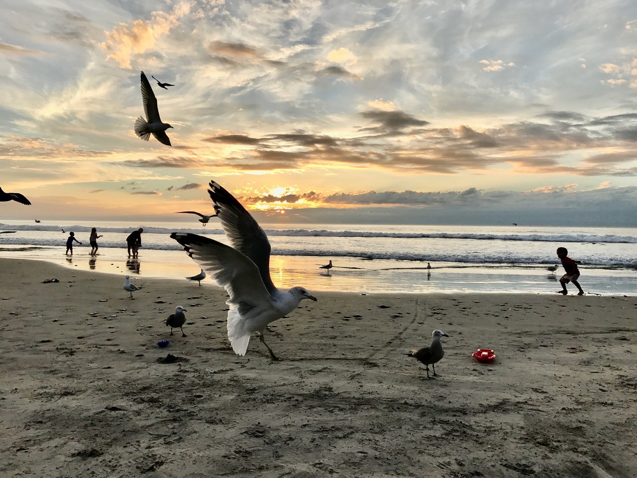 June Gloom in Orange County: 