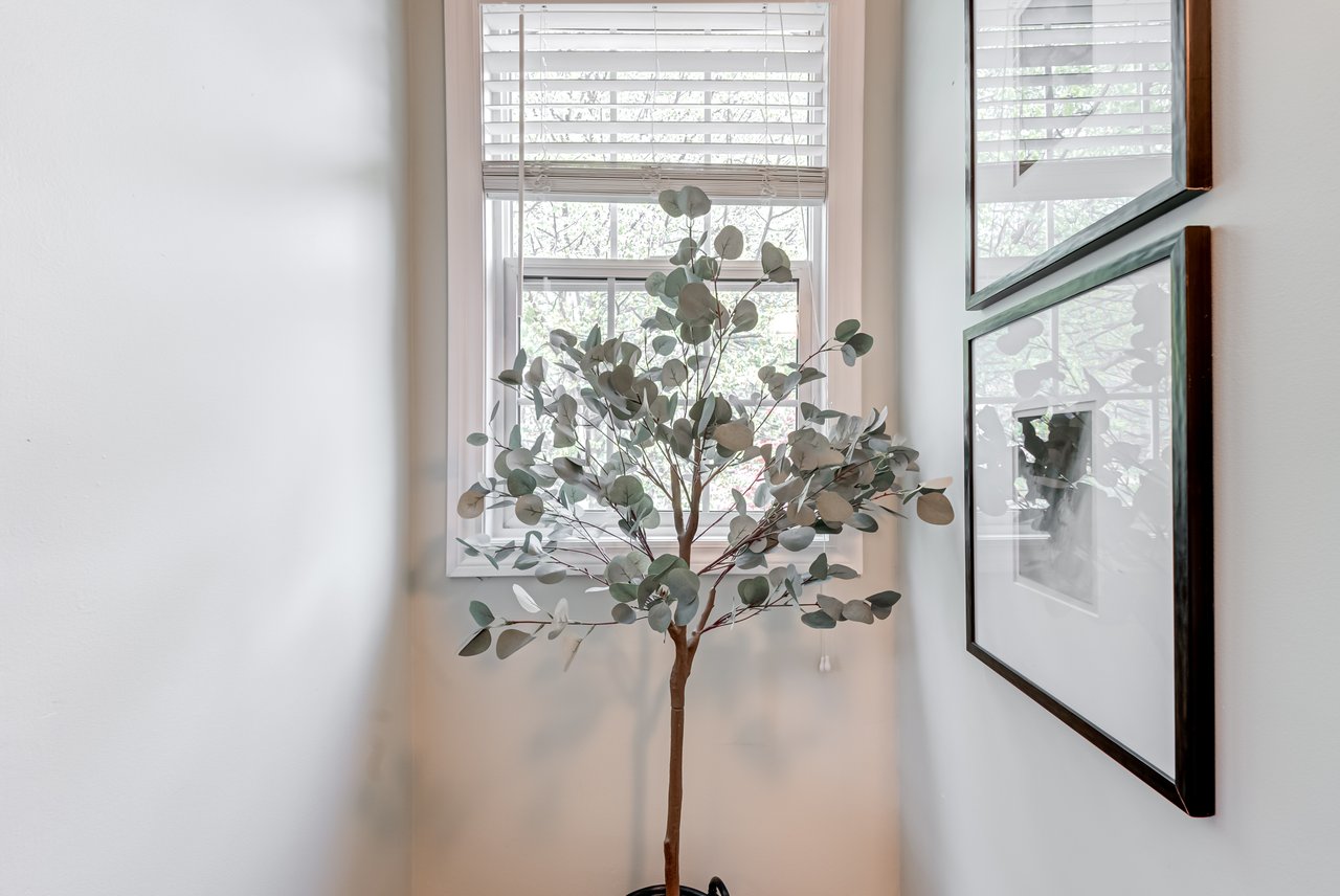 22 Worthington Cres - a Gem in Bloor West Village
