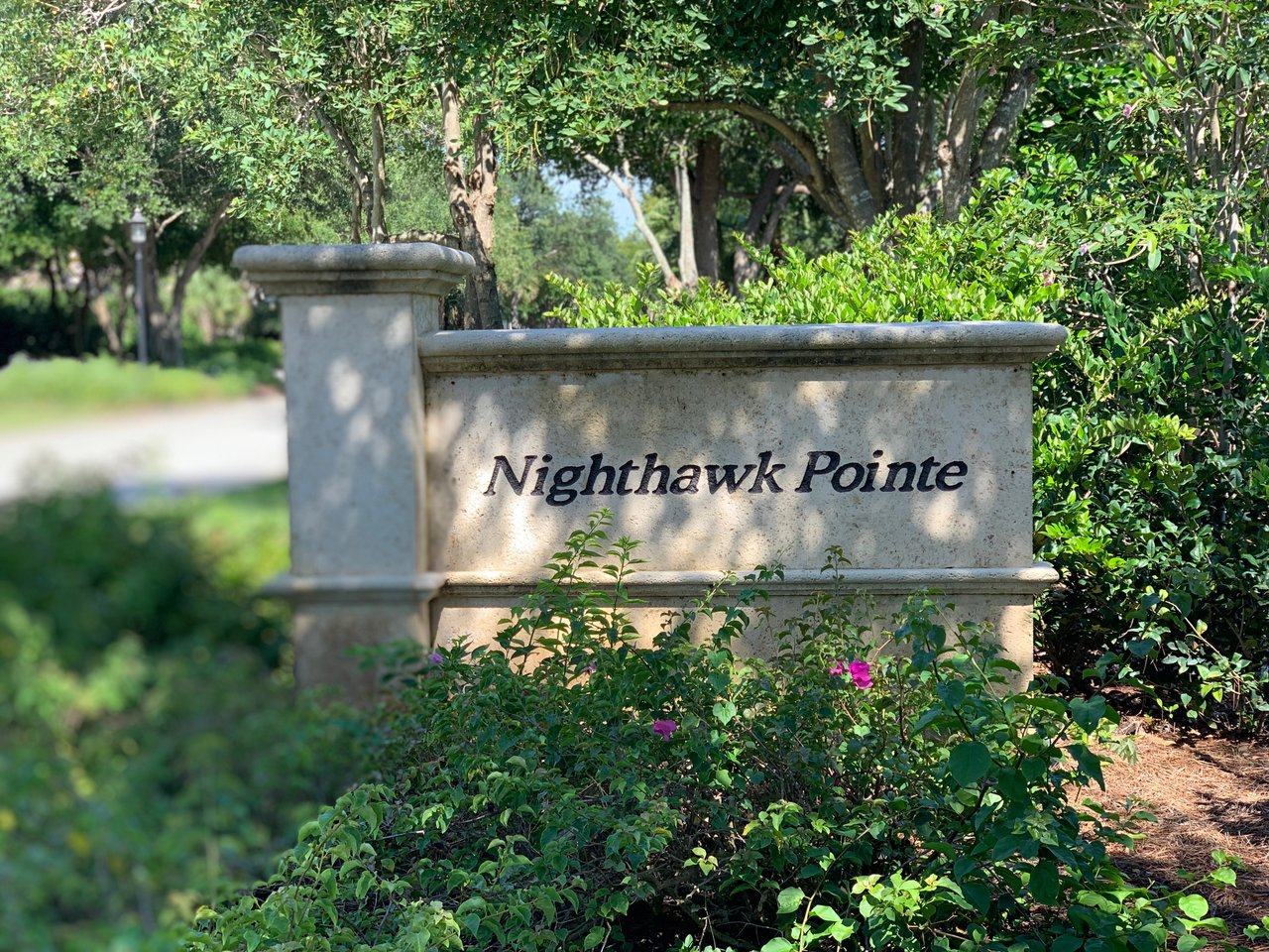 Nighthawk Pointe