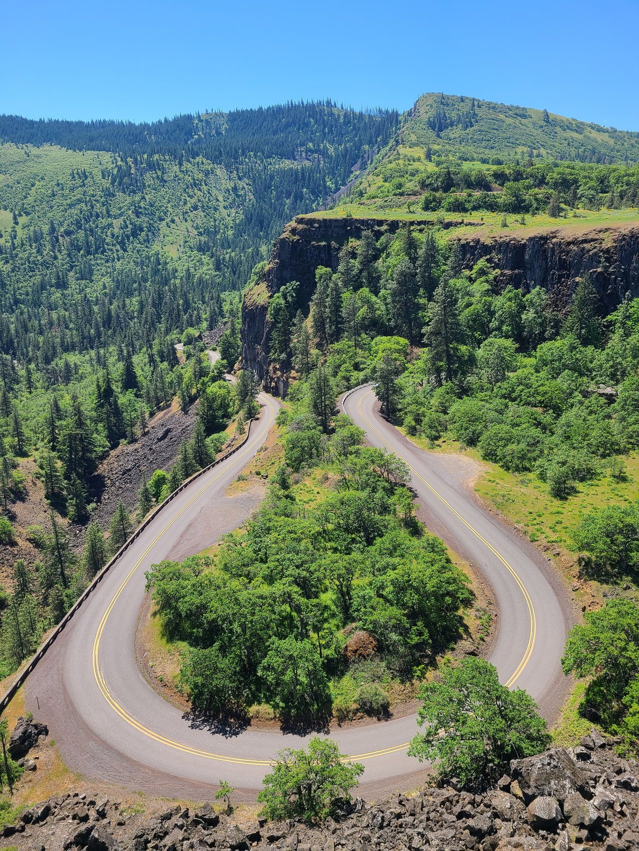 Winding road curves through a forested canyon beneath rocky cliffs.