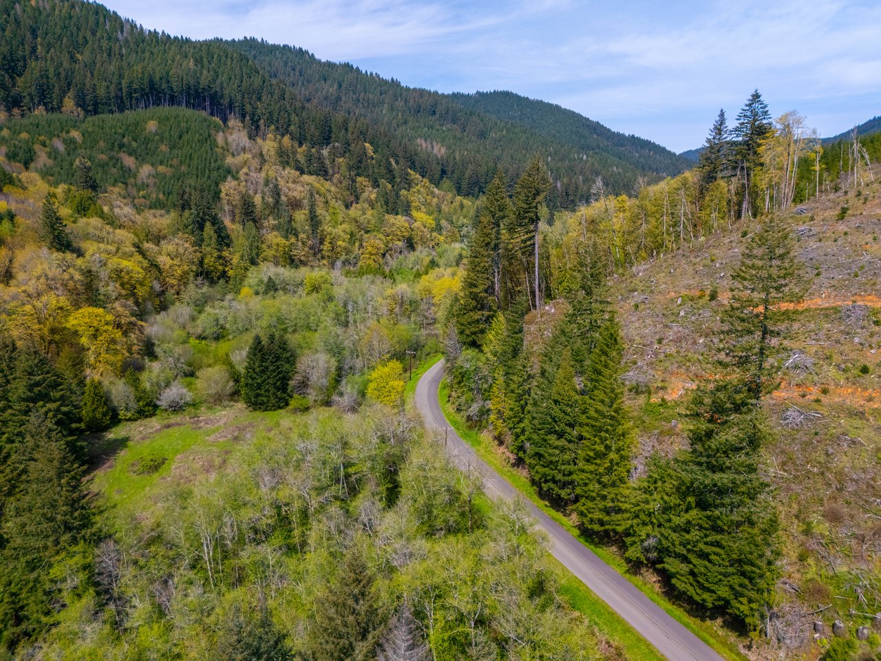 Nelson Mountain Meadows