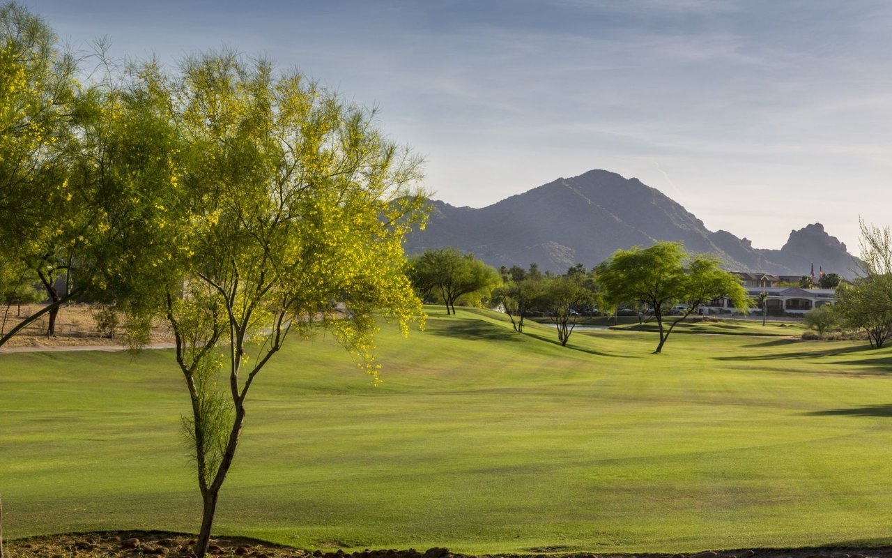 Grayhawk
