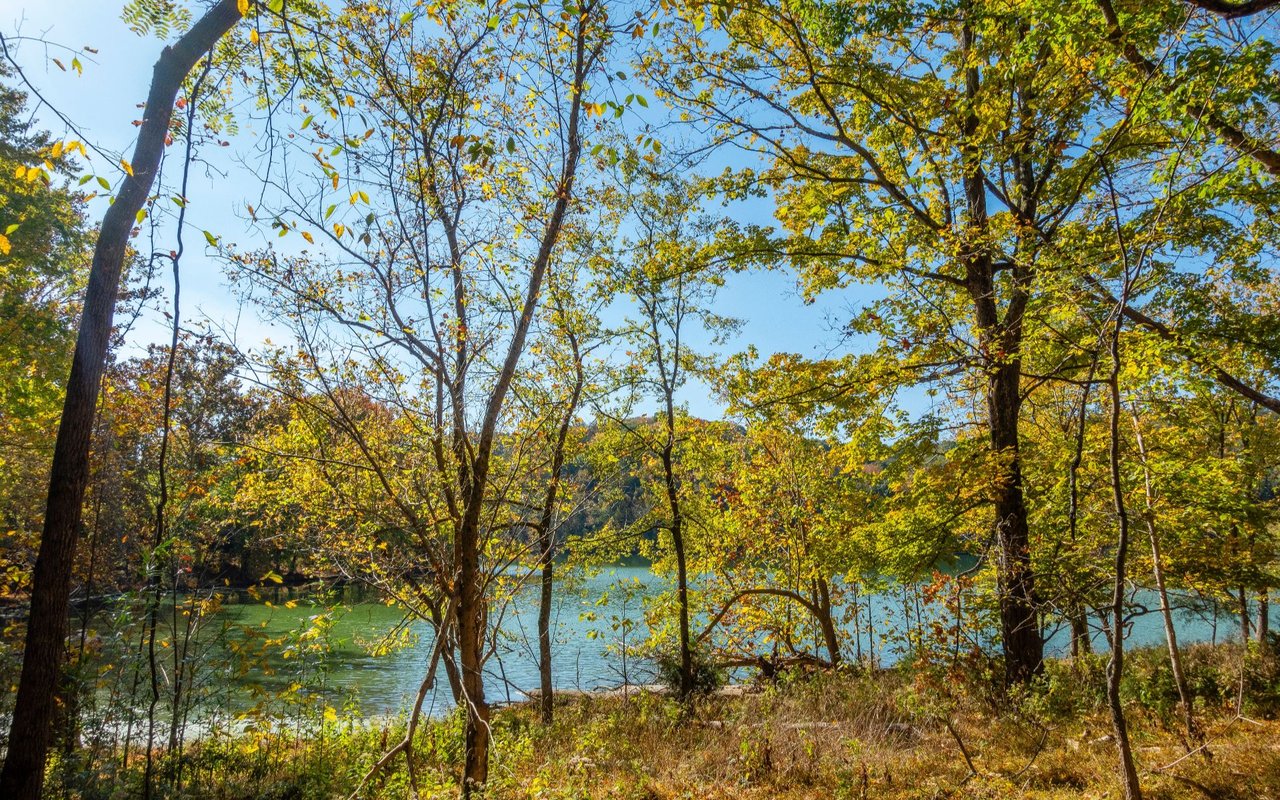 Forest Hills, Nashville