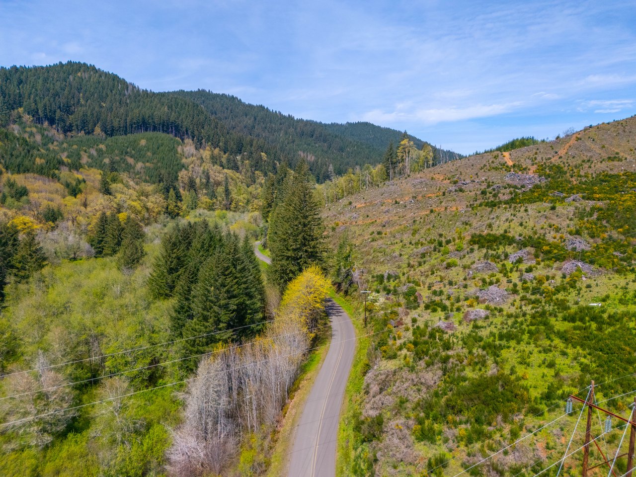 Nelson Mountain Meadows