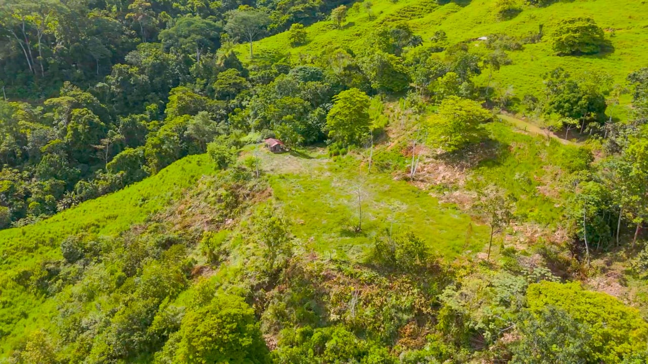 San Josecito Farm Above Uvita, 4 Acres, Creek and Usable Land