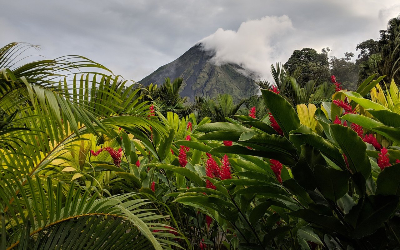 Plugged Into Nature: Exploring the 8 Best Costa Rica National Parks & Reserves