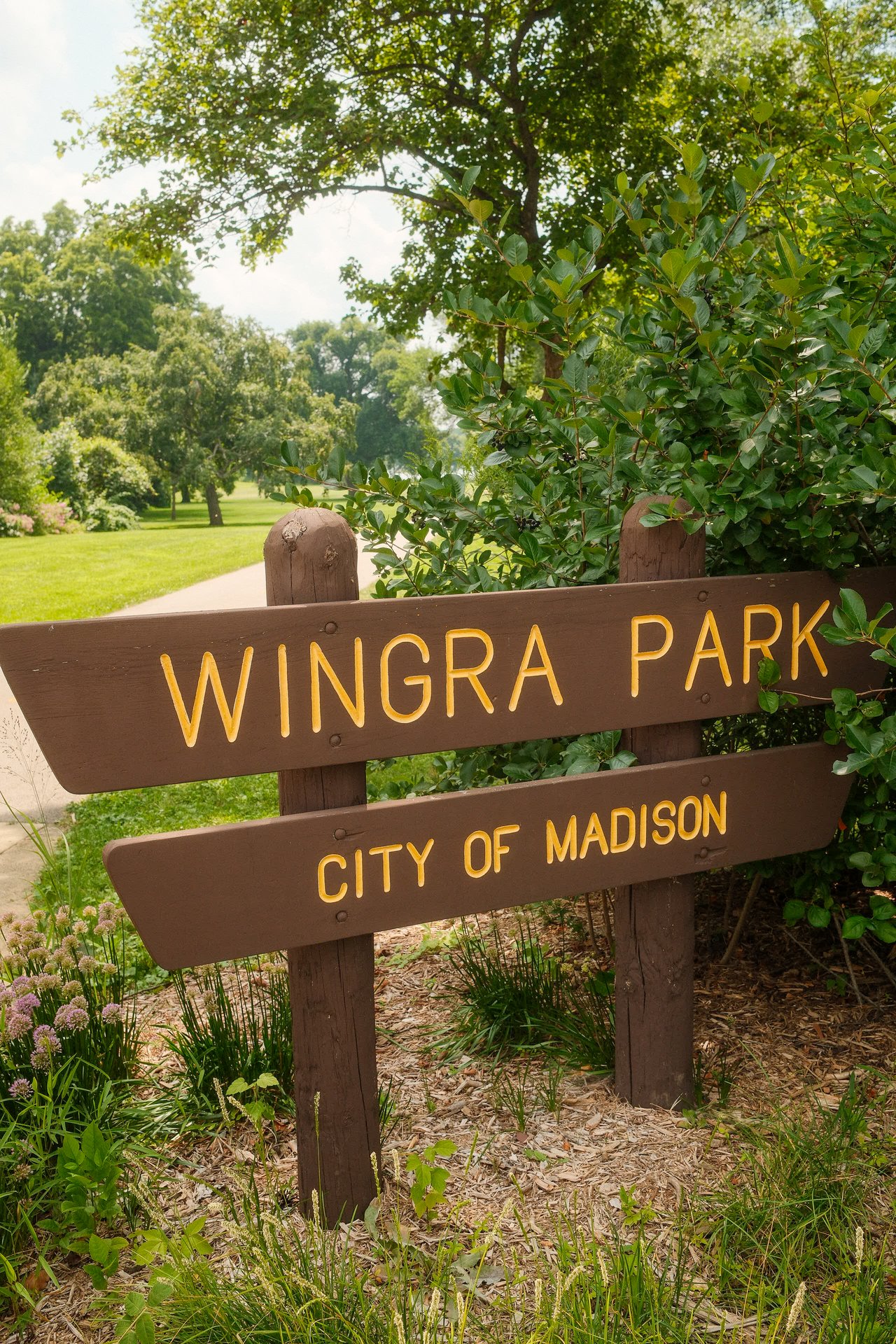 Your Ultimate Guide to Monroe Street in Madison, WI