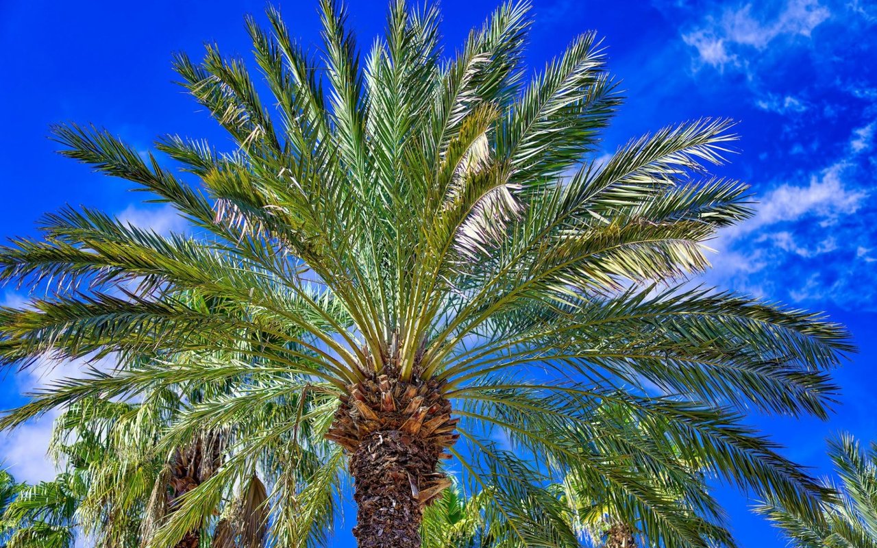 Living in Palm Beach, FL