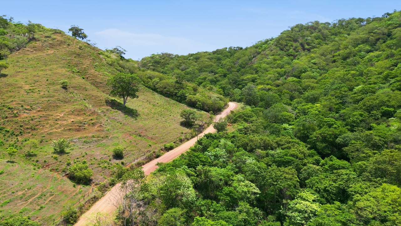 3.4 Acres of Quiet Country Living | 12 minutes from the Beach - Tempate 