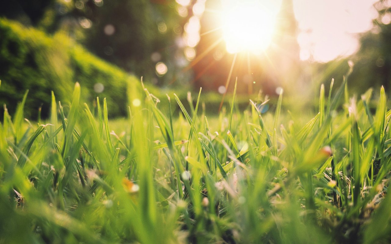 Spring Has Arrived — And So Has Waterfront Buying Season