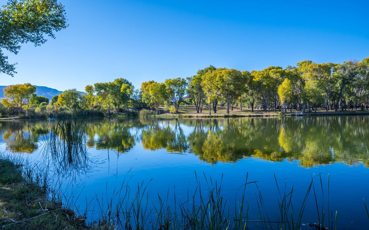 Cottonwood