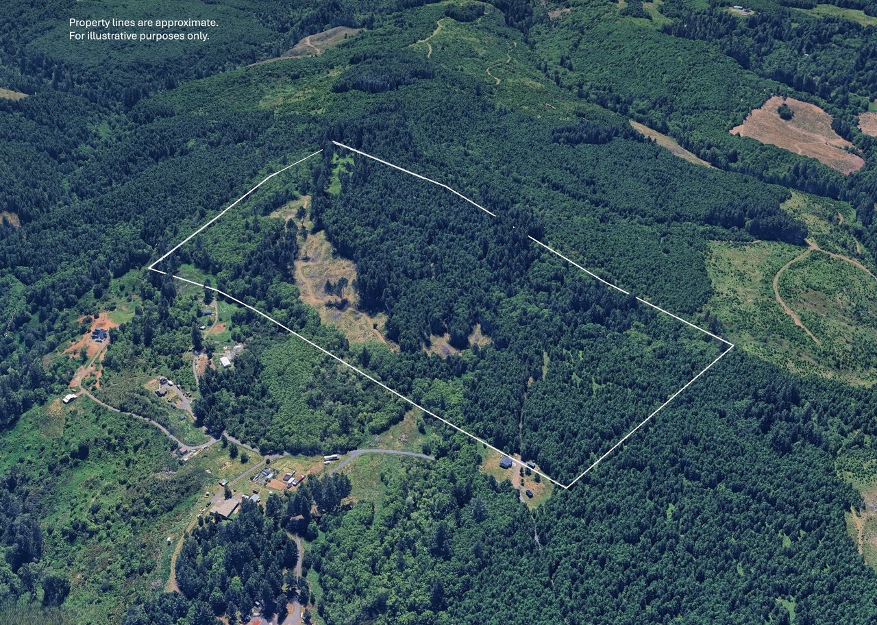 Marion Woods - Auction