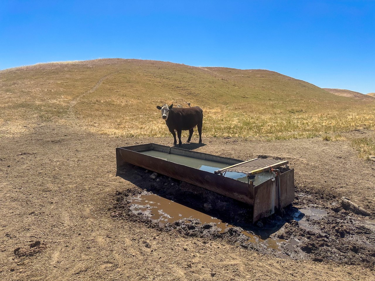 320.00 +/- Acres of Grazing Land