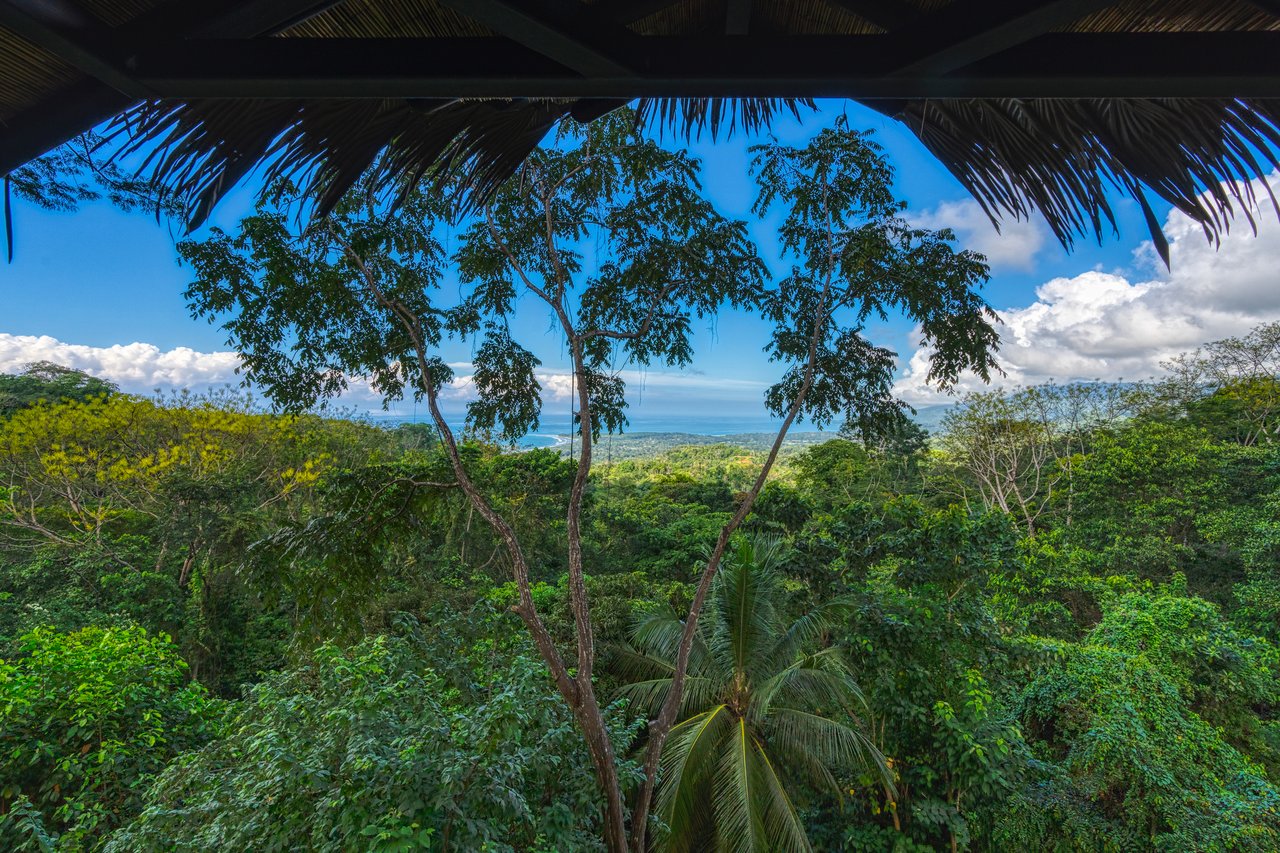 Beauty Villa- Ocean View in Uvita