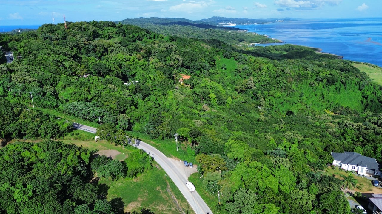 Rdft Property in West Bay (4 acres)