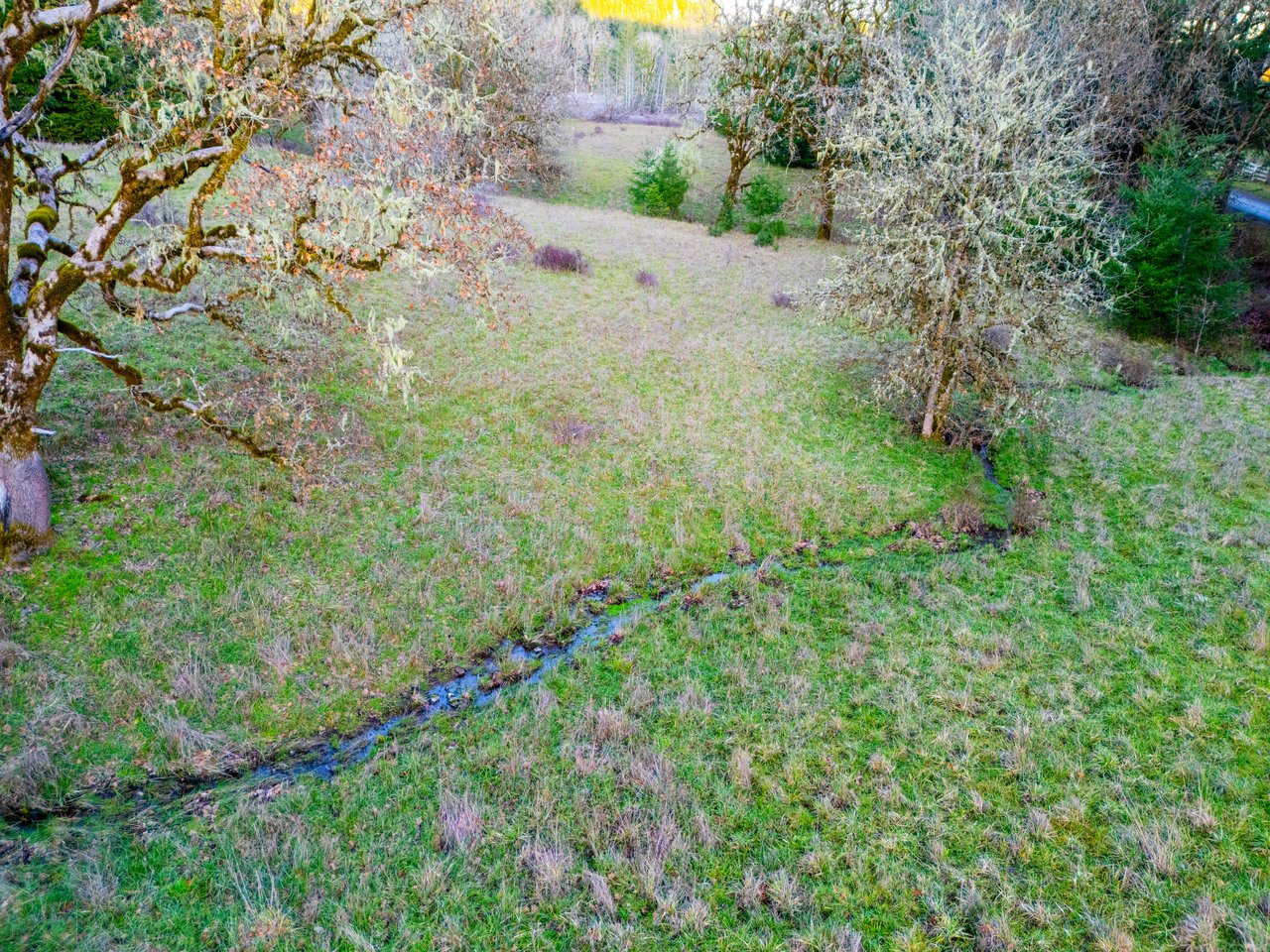 HARRIS FARM & FOREST