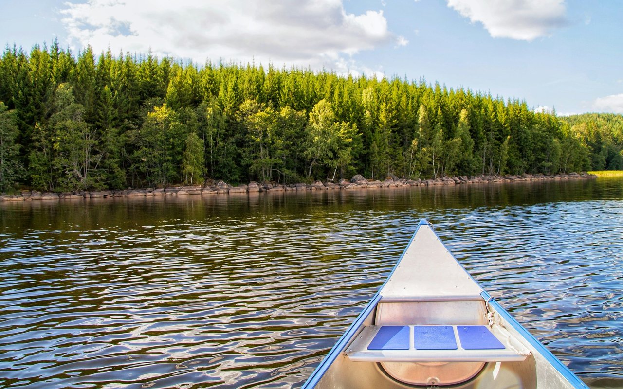 Canoe bow on a lake facing a rocky, tree-lined shoreline.