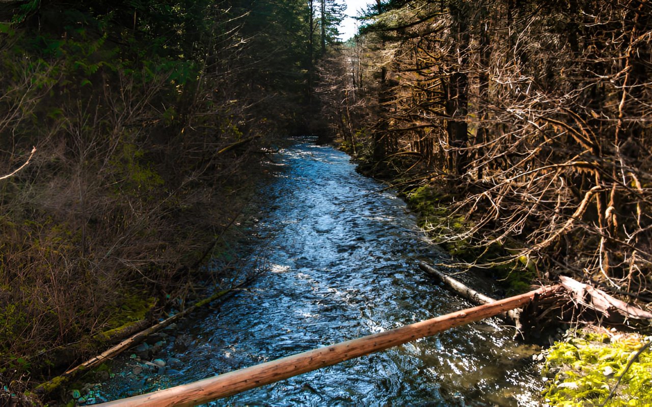 Hiking Trails Of Greater Seattle