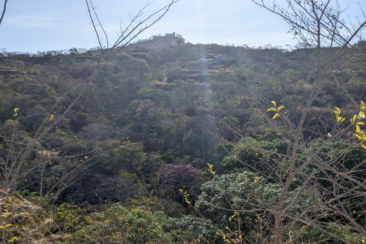 Pacific Heights Lot 22B – BEST PRICED OCEAN VIEW LOT WITH WATER