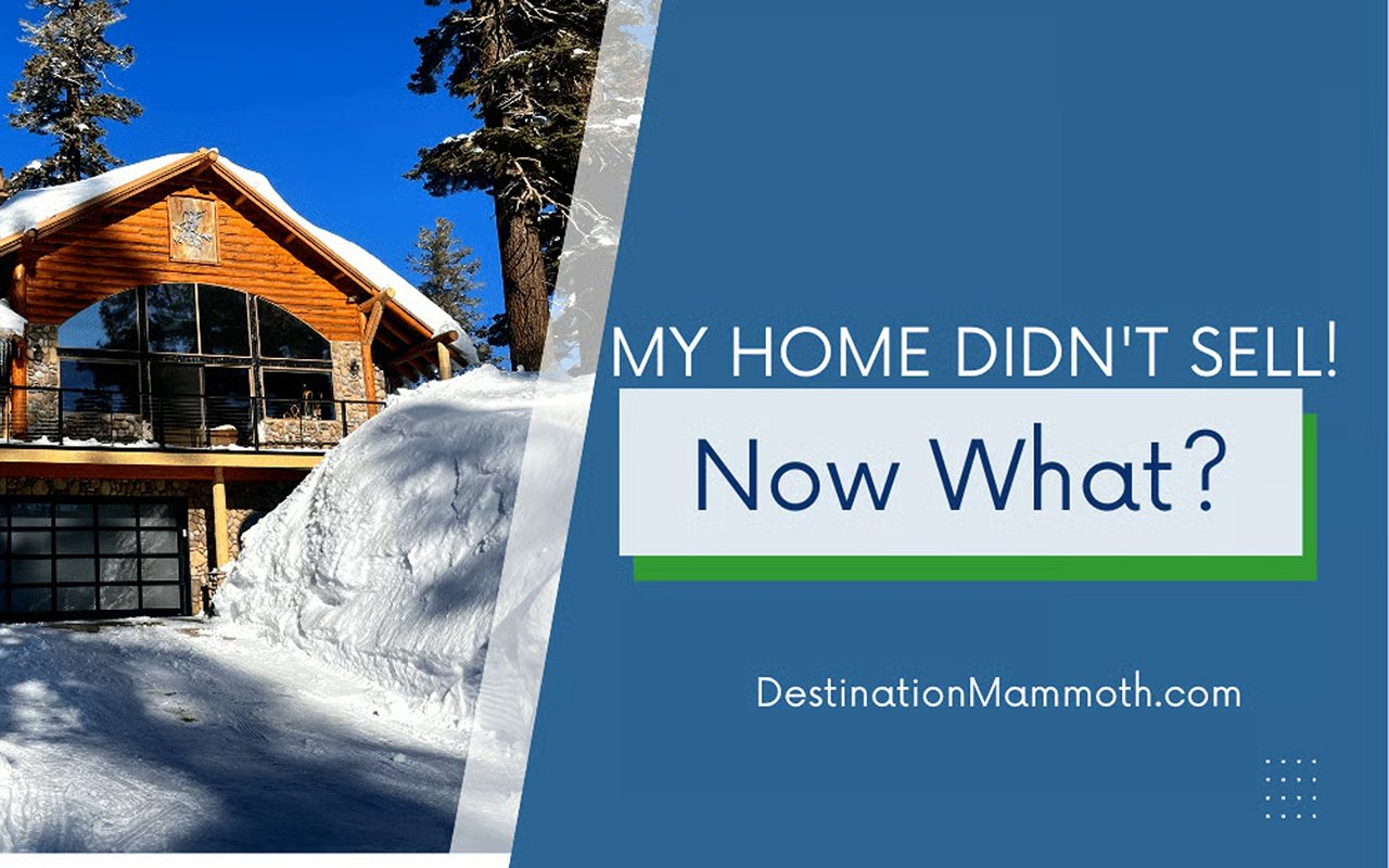 My home didn't sell! Now what?