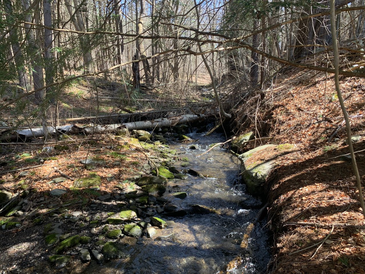 Building a New Home in 2014: A Guide to Costs, Planning, and Pitfalls