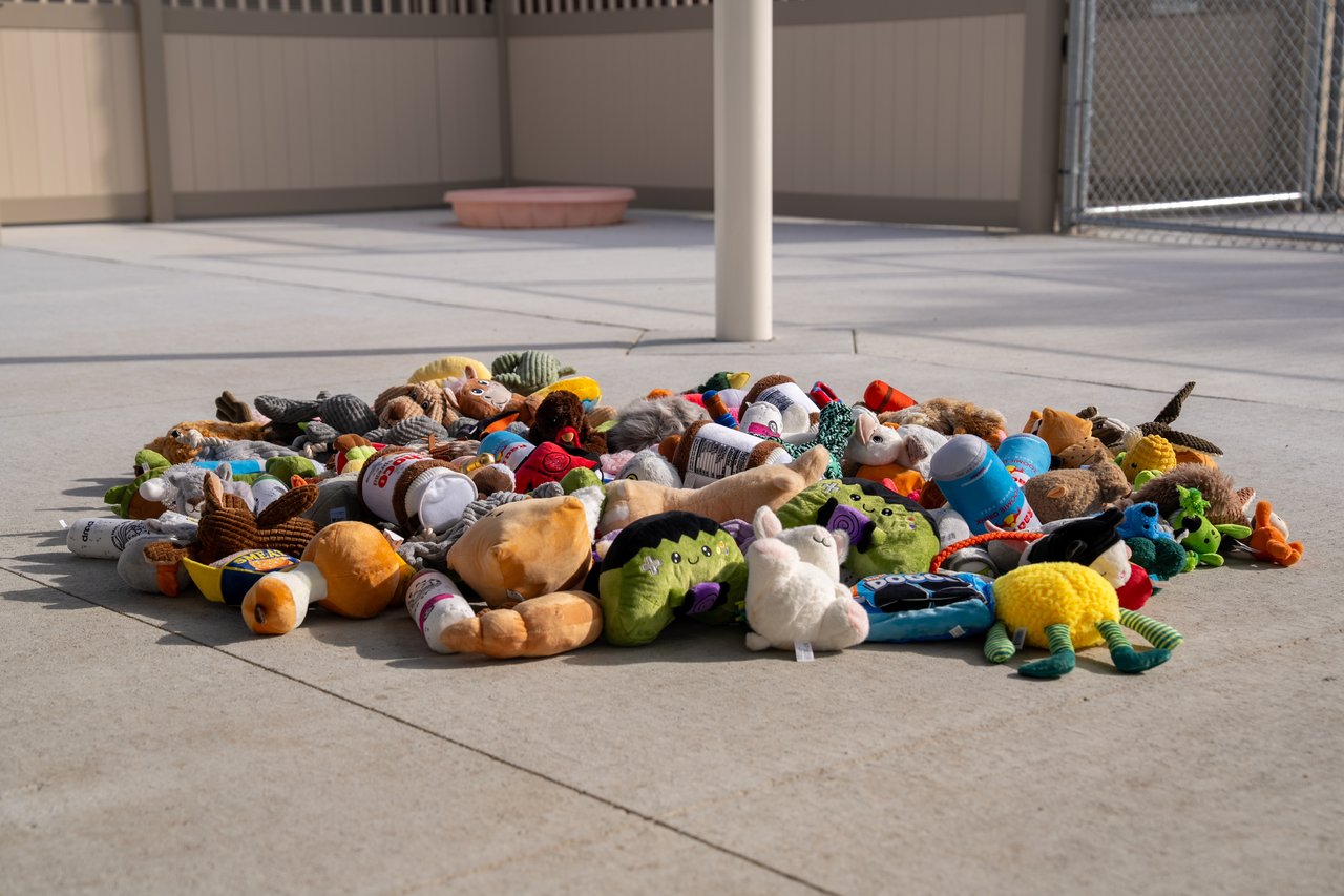 A pile of colorful plush toys spread across the concrete floor of an outdoor kennel.