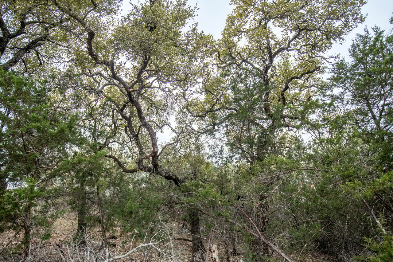 Big Creek Ranch Lot 94 | 1.615± Acres | Kingsland, Burnet County, TX