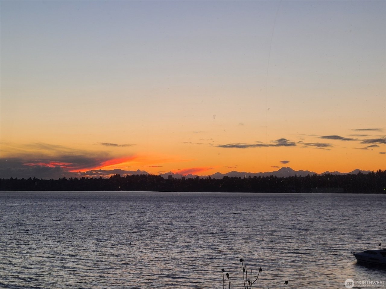 311 2nd Street S Unit: 102