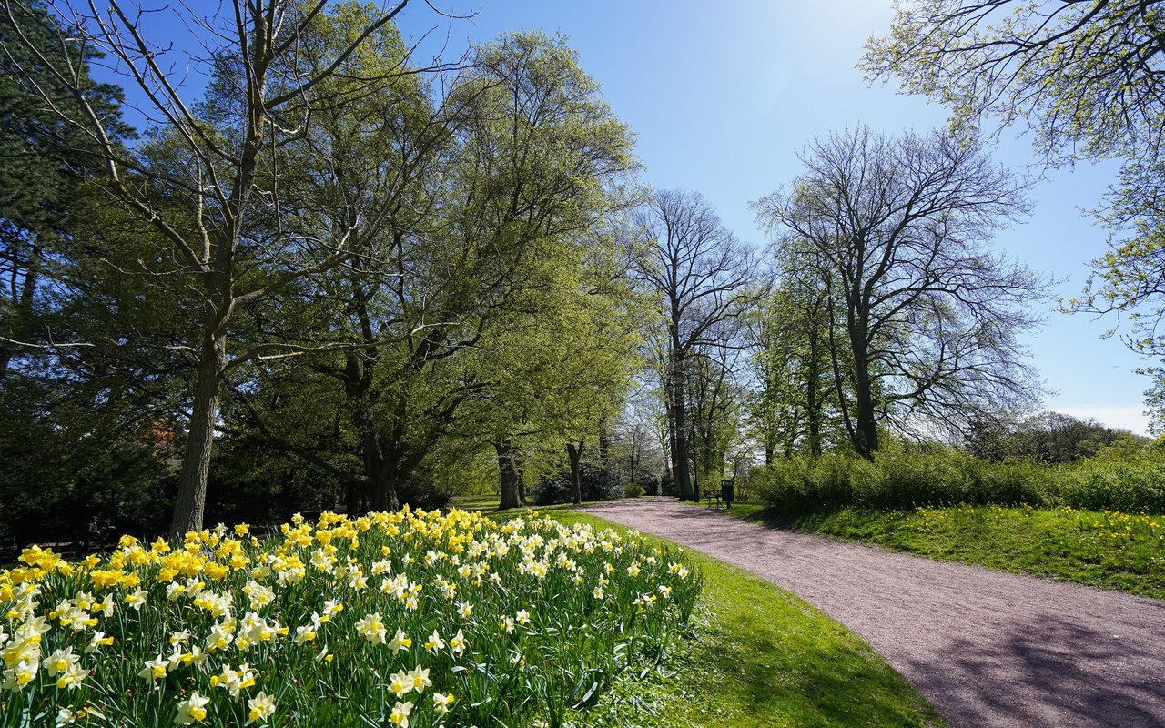 Sylvan Park