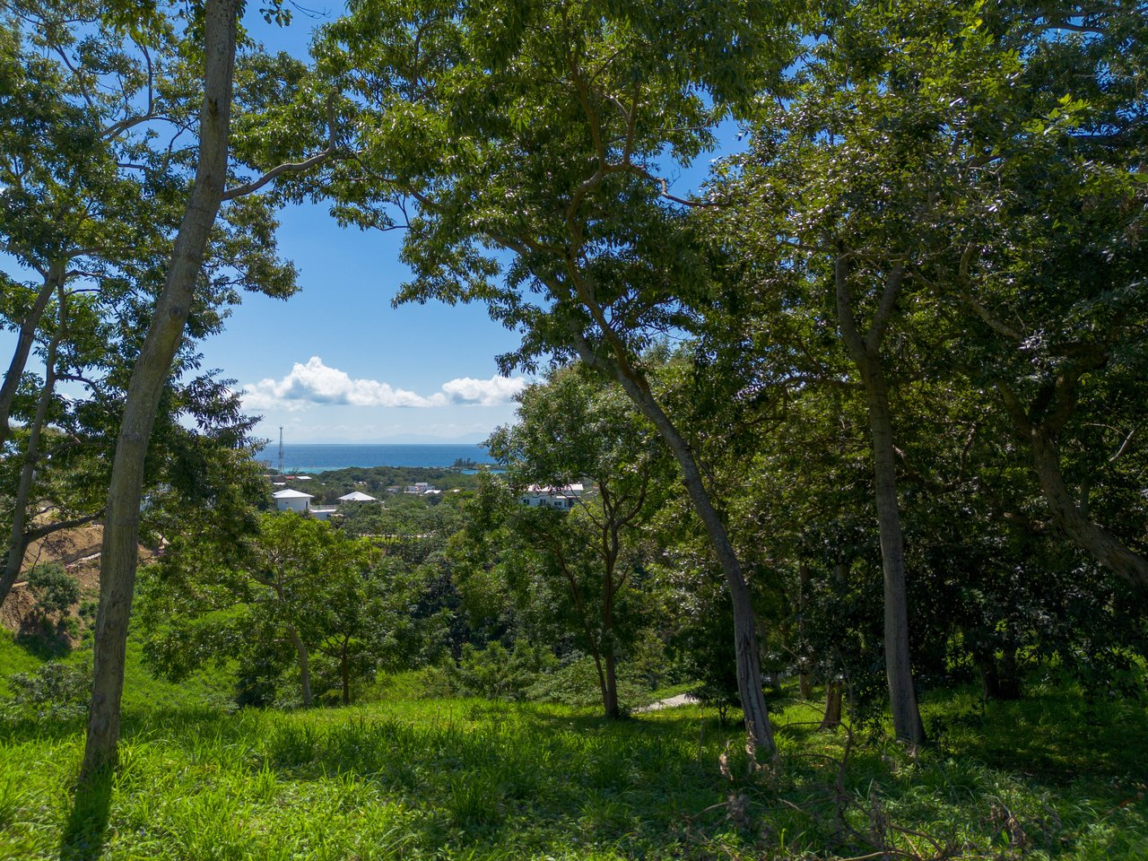 Pre-construction Home on Lot 43, Coral Views Villages