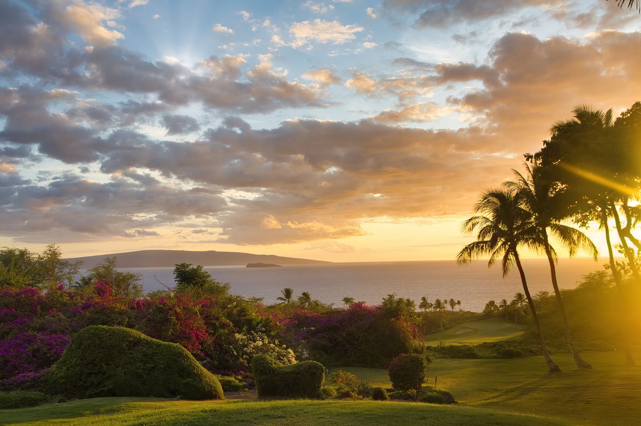 Maui's Luxury Market: A Summer 2025 Insider's Report