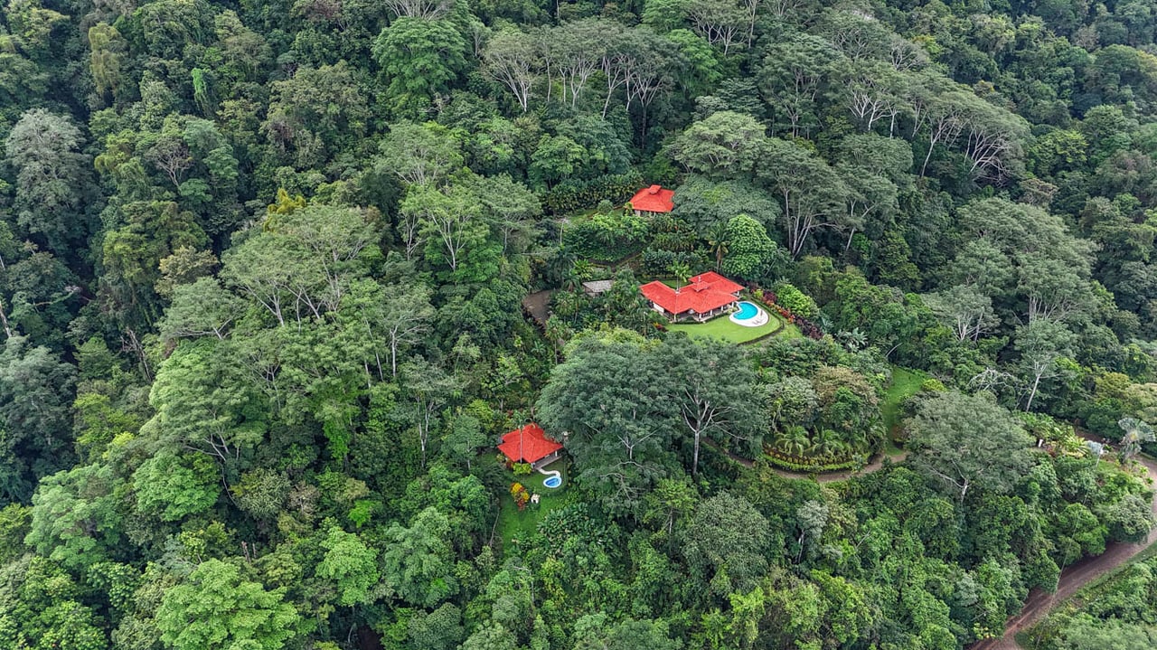 Ocean, jungle & mountain views on a meticulously landscaped 3-home family compound