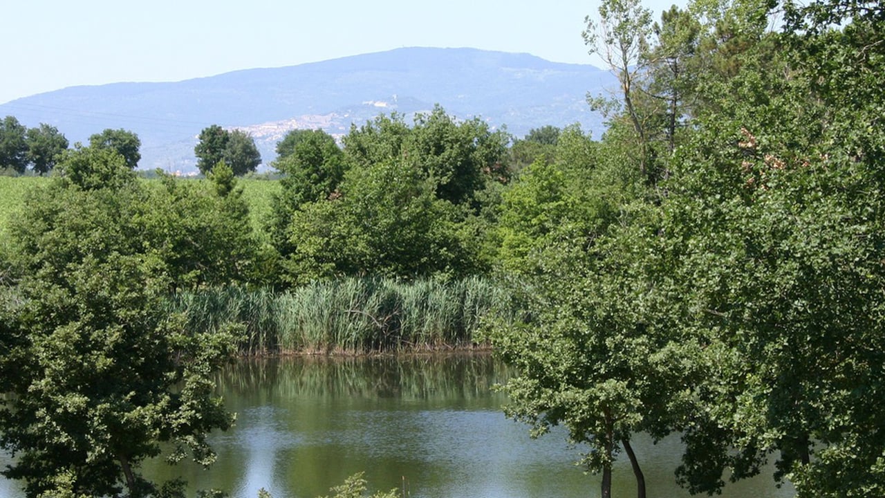 VILLA DI MEZZO