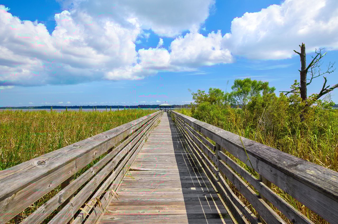South Island Plantation