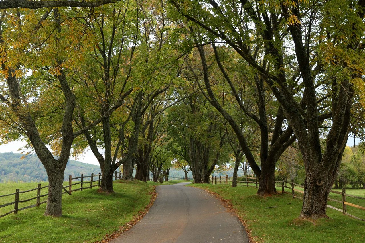 Keswick / Eastern Albemarle
