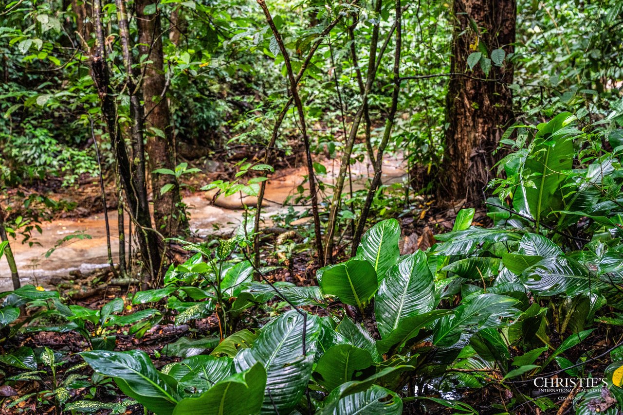 El Encanto Estate Waterfall, Regenerative Land & Carbon‑Neutral Sanctuary a Legacy Property
