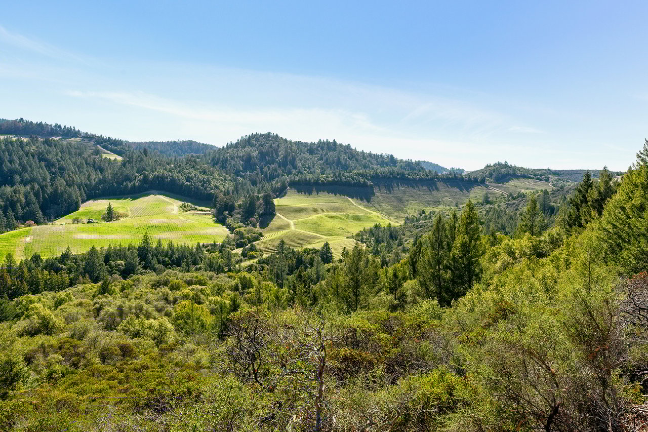 369 Kortum Canyon Rd