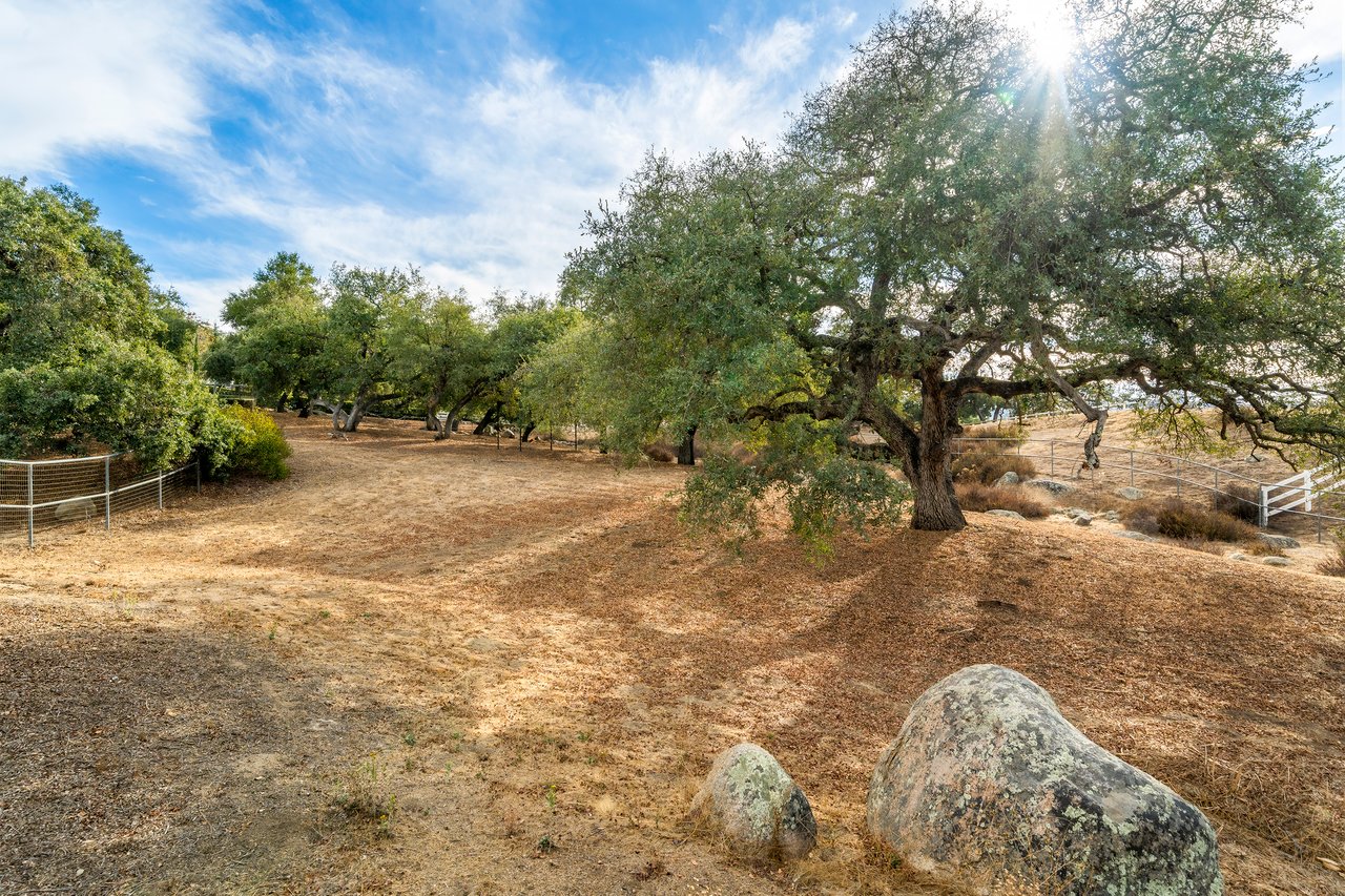 17520 Equestre Court