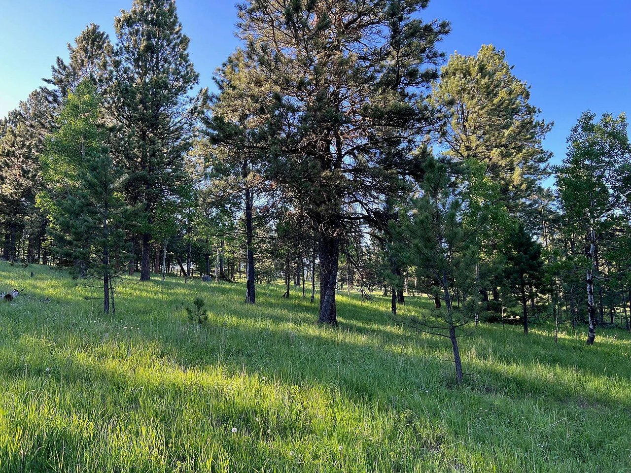 Lot 8 Boles Canyon Rd