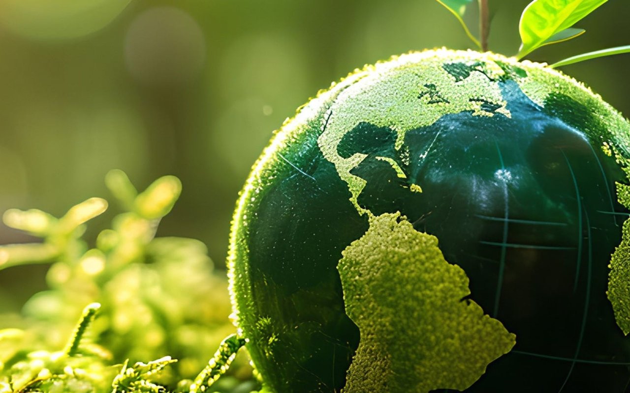 Moss-covered globe showing the Americas among sunlit green plants.