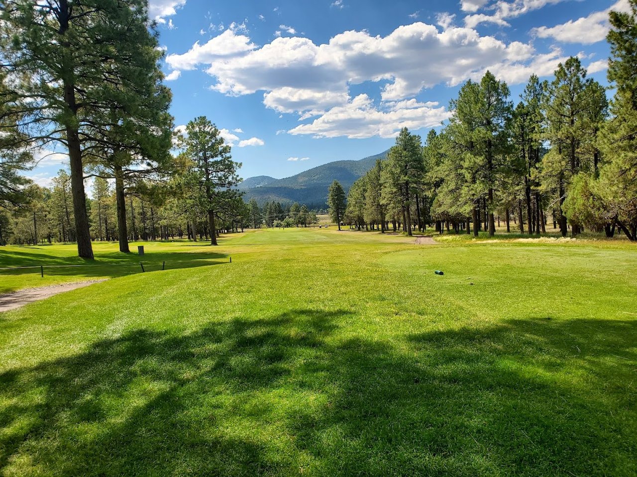 Pinewood Country Club fairway lined with pine trees, with forested hills beyond.