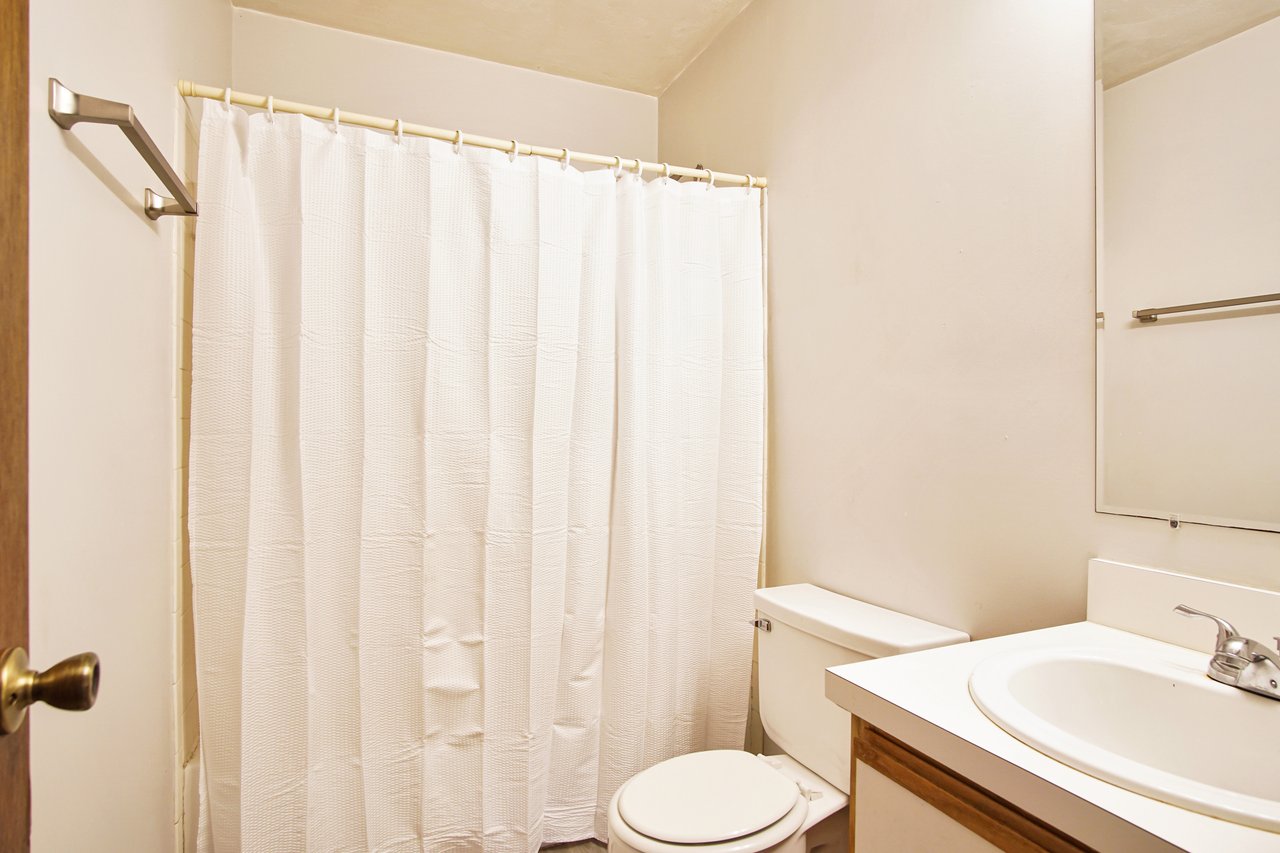 A clean bathroom featuring a toilet, sink, and a decorative shower curtain.