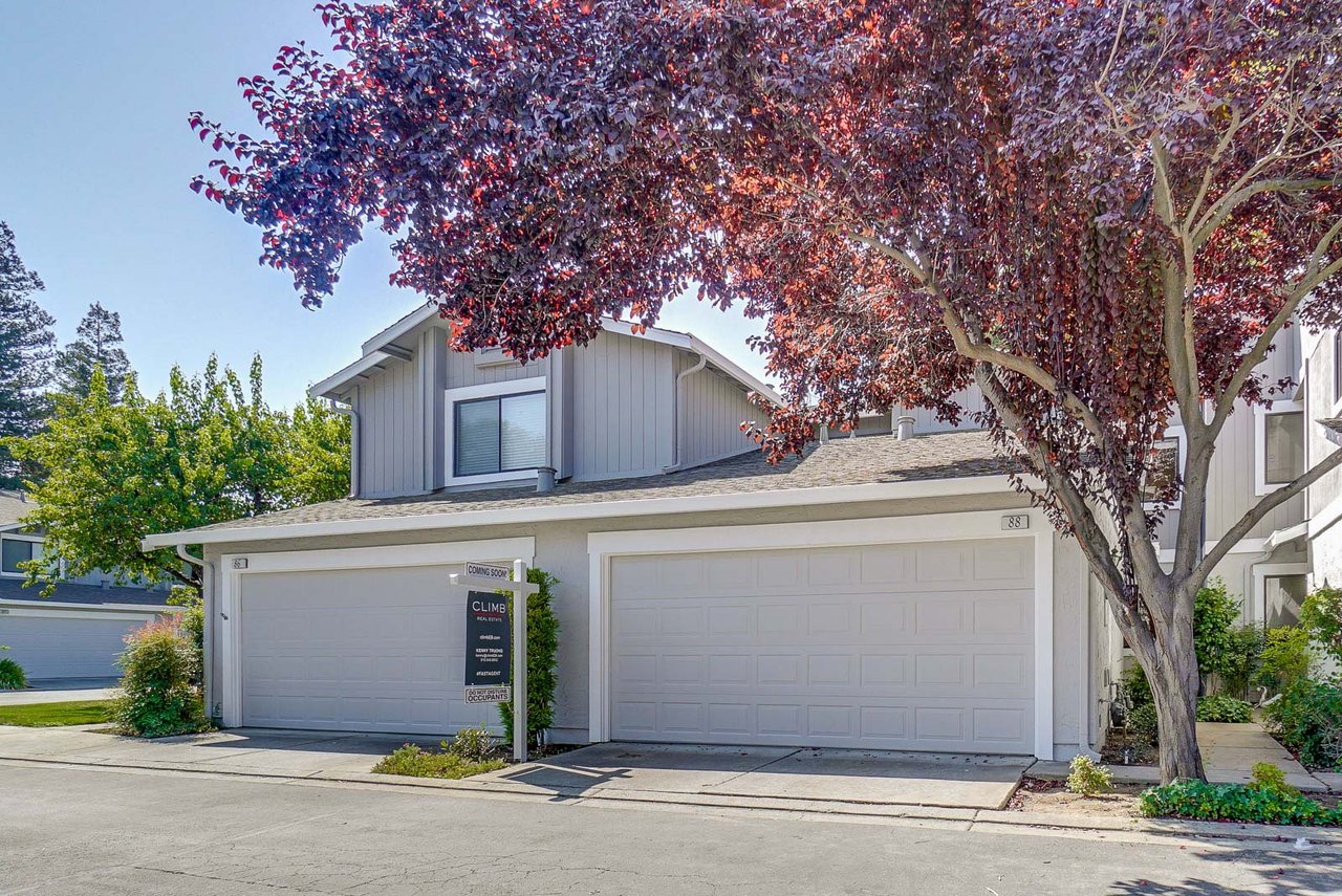 88 Little Bear Way
