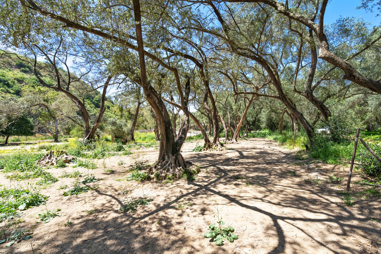 Vacant Lot in Modjeska Canyon 
