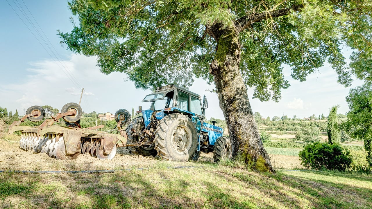 PODERE DELLA PIEVE